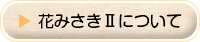 花みさきⅡについて