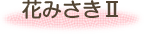 花みさきⅡ